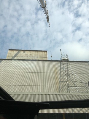 image1.jpeg